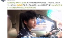 最新爆料王俊凯事件视频,真相与争议交织